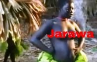 Jarawa tribals of the Andaman and Nicobar Islands of India