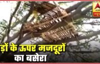 Locals Forced To Quarantine Atop Tree In West Bengal | ABP News