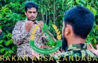 Messages 2020 of arakan  state rohingya salvation army arsa by abu Ammar HAFIZS