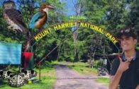 Mount Harriet National Park l Port Blair Tour l Andaman trip plan l full info l Havelock Neil guide