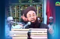 Muhammad ashraf asif jalali ka jawab  Dr. Zakir naik ko | Nabi ko Manna haram he (Astaghfirullah)