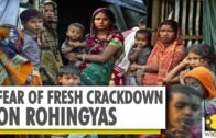 Myanmar mobilises troops near Bangladesh border | Rakhine | World News
