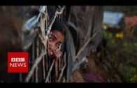 Myanmar Rohingya: Army 'must face genocide charges' BBC News