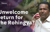 On the trail of the destroyed Rohingya villages in Rakhine
