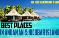 Pakistani Reacts On 5 Best Places To Visit In Andaman and Nicobar Islands
