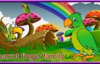 Parrot Finger Family | Nursery Rhymes | Rhymes For Kids | Poem For Kids | 3D Rhymes