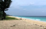Peaceful beach in Andaman & Nicobar Islands