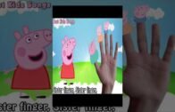 Peppa Pig – Finger Family Song Collection – Nursery Rhymes Peppa Pig Finger Family for Kids