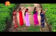Phool Baganer Malini | Tushar Arjun | Barnali Kalita | Superhit Baganiya song Assam