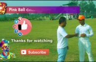 Pink Ball Cricket / CounterStrike 22 Tournament / Exclusive Interview / Captain Bengal Tigers