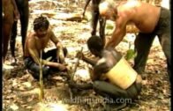 Planting trees to make a difference – The Jarawas of Andaman & Nicobar Islands