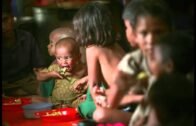 Refugee stories: stateless Rohingyas