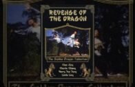 Revenge of the Dragon Full Hindi Dubbed Movie | Martial Arts Movie