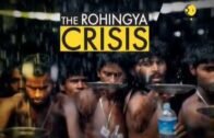 Rohingya Crisis: 400 killed in Myanmar's Rakhine
