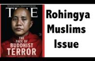 Rohingya Crisis क्या है ? – Myanmar Ethnic cleansing – Rohingya Muslims issue in Hindi