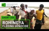 Rohingya crisis: The mass exodus of Myanmar’s Muslim people | Short Doc