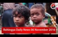 Rohingya Daily News 06 November 2016 Arakan Times