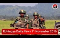 Rohingya Daily News 11 November 2016 Arakan Times