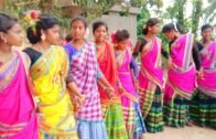 Santali Bapla latest dance || Murshidabad || West Bengal