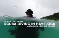 SCUBA DIVING IN HAVELOCK | OCEAN TRIBE SCUBA | ANDAMAN & NICOBAR ISLANDS