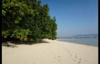 Simple Solo Andaman Nicobar Island India Travel Experience 4K HDR UHD UltraHD