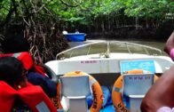 Speed Boat Ride in The Mangrove Forest at Andaman Island l adventure  journey