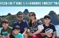 Speed Boat Ride & Mangrove Forest Tour