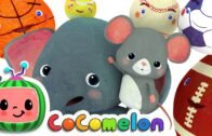 Sports Ball Song | CoComelon Nursery Rhymes & Kids Songs