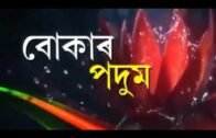 Telsura Comedy Video Assam Talks