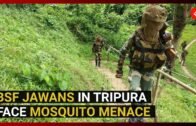 Tripura: BSF jawans face mosquito menace in malaria-endemic zone