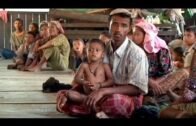 UN accuses Myanmar army of torture against rebels