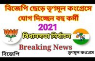 West Bengal Assembly Election 2021 Opinion Polls | WB Election 2021 Live News | BJP vs TMC Parties,