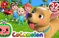 Where Has My Little Dog Gone? + More Nursery Rhymes & Kids Songs – CoComelon