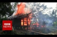 Who is burning down Rohingya villages? – BBC News
