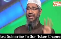 Why babies die asked by a Non Muslim Sister  Dr Zakir Naik new lecture Urdu Hind