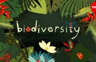Why is biodiversity so important? – Kim Preshoff