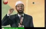 Zakir Naik Q&A-106  |   Man Question about Azab e Qabar (Punishment after death)