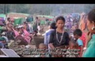 13 Police Killed 9 Injured in Myanmar by Buddhist Rakhine Insurgents (Hard Coded)