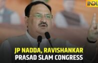 BJP's JP Nadda, Minister Ravishankar Prasad Slam Opposition At Aurangabad, Appeal To Vote For NDA