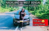 Nagaland to West Bengal Roadtrip | Dawn to dusk driving | Beautiful Northeast