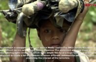 [NEWS DAILY] Rohingya crisis: suu kyi says 'all in rakhine defended' – bbc news